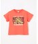 【綿100％】恐竜プリント 半袖Tシャツ