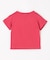 【一部店舗/WEB限定】【綿100%】プリント 半袖Tシャツ