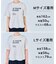 【新色追加/VERY掲載】BEAUTY FORM-T cotton ロゴ ハーフスリーブ Tシャツ