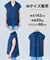 【WEB限定カラー】ヴィンテージシアー フリルネック ブラウス