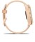 GARMIN　vivoactive 6 (ヴィヴォアクティブ 6)GPSスマートウォッチ(Suica対応) (ガーミン)  0100298533