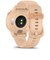 GARMIN　vivoactive 6 (ヴィヴォアクティブ 6)GPSスマートウォッチ(Suica対応) (ガーミン)  0100298533
