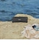 ソニー　Bluetoothスピーカー ULT FIELD1［防水 /Bluetooth対応］ ブラック SRSULT10BC