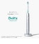 パナソニック　電動歯ブラシ Doltz ドルツ [ 音波振動式 / AC100V-240V ] シルバー EWDT88S