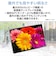 NEC　タブレット＋スタンドカバー付きキーボード [12.1型] LAVIE Tab T12N クラウドグレー PCT1275LAS