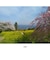 AIWA　aiwa cam DCB コンパクトデジタルカメラ ライトブロンズ JA4-DCM0001(LB)