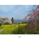 AIWA　aiwa cam DCB コンパクトデジタルカメラ ライトブロンズ JA4-DCM0001(LB)
