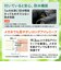 ニコン　PROSTAFF P7 10x50 ［10倍］ PSP710x50