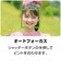 ケンコー・トキナー　Kenko デジタルカメラ （限定モデル・液晶保護フィルム付き） KCAF05LTD