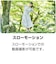 ケンコー・トキナー　Kenko デジタルカメラ （限定モデル・液晶保護フィルム付き） KCAF05LTD