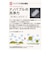アラミック　シャワーヘッド 3Dサロン ナノバブルシャワー SSTN2B