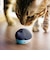 ラディウス　完全ワイヤレスイヤホン NEKO 猫 ミックス [ ワイヤレス ( 左右分離 ) / Bluetooth 対応 ]  HPC28BTN