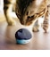 ラディウス　完全ワイヤレスイヤホン NEKO 猫 ミックス [ ワイヤレス ( 左右分離 ) / Bluetooth 対応 ]  HPC28BTN