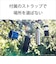 ソニー　Bluetoothスピーカー ブラック  SRSXB23BC