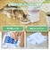 エレコム　ペット用タイマー式自動給餌器 コンパクトタイプ ホワイト PETAF05WH