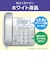 パナソニック　コードレス電話機 ［子機1台 / コードレス］ シルバー VEGD28DLS