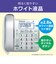 パナソニック　コードレス電話機 ［子機1台 / コードレス］ シルバー VEGD28DLS