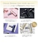 WAVEWAVE　FASCIAL RELEASE GUN パープル WAVEWAVE2301-GL-PL