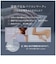 WAVEWAVE　FASCIAL RELEASE GUN パープル WAVEWAVE2301-GL-PL