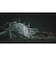 GAMESCIENCE　PS5ゲームソフト 黒神話：悟空 ELJM-30616<br>★こちらの商品は人気商品のため、色違い・仕様違い等含め「一家族１台限り」でのご協力をお願いしております。