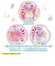 バンダイ　名探偵プリキュア！ 変身プリチューム キュアミスティック ﾌﾟﾘﾁｭｰﾑｷｭｱﾐｽﾃｨｯｸ