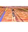 ドラガミゲームス　Switch2ゲームソフト LoveR Kiss Endless Memories Nintendo Switch 2 Edition LoveRSW2<br>★こちらの商品は人気商品のため、色違い・仕様違い等含め「一家族１台限り」でのご協力をお願いしております。