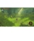 任天堂　Switch2ゲームソフト ゼルダの伝説 ブレス オブ ザ ワイルド Nintendo Switch 2 Edition ｾﾞﾙﾀﾞﾉﾃﾞﾝｾﾂBOW2ED