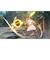 日本ファルコム　PS4ゲームソフト 英雄伝説 黎の軌跡 通常版 ｸﾛﾉｷｾｷﾂｳｼﾞｮｳ<br>★こちらの商品は人気商品のため、色違い・仕様違い等含め「一家族１台限り」でのご協力をお願いしております。