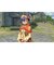 日本ファルコム　PS4ゲームソフト 英雄伝説 黎の軌跡 通常版 ｸﾛﾉｷｾｷﾂｳｼﾞｮｳ<br>★こちらの商品は人気商品のため、色違い・仕様違い等含め「一家族１台限り」でのご協力をお願いしております。