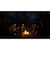 GSCGAMEWORLD　PS5ゲームソフト S.T.A.L.K.E.R. 2： Heart of Chornobyl ELJM-30790<br>★こちらの商品は人気商品のため、色違い・仕様違い等含め「一家族１台限り」でのご協力をお願いしております。