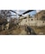 GSCGAMEWORLD　PS5ゲームソフト S.T.A.L.K.E.R. 2： Heart of Chornobyl ELJM-30790<br>★こちらの商品は人気商品のため、色違い・仕様違い等含め「一家族１台限り」でのご協力をお願いしております。