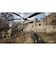 GSCGAMEWORLD　PS5ゲームソフト S.T.A.L.K.E.R. 2： Heart of Chornobyl ELJM-30790<br>★こちらの商品は人気商品のため、色違い・仕様違い等含め「一家族１台限り」でのご協力をお願いしております。