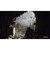 GSCGAMEWORLD　PS5ゲームソフト S.T.A.L.K.E.R. 2： Heart of Chornobyl ELJM-30790<br>★こちらの商品は人気商品のため、色違い・仕様違い等含め「一家族１台限り」でのご協力をお願いしております。