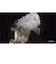 GSCGAMEWORLD　PS5ゲームソフト S.T.A.L.K.E.R. 2： Heart of Chornobyl ELJM-30790<br>★こちらの商品は人気商品のため、色違い・仕様違い等含め「一家族１台限り」でのご協力をお願いしております。