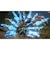 コーエーテクモゲームス　PS5ゲームソフト FAIRY TAIL2 ﾌｪｱﾘｰﾃｲﾙ2<br>★こちらの商品は人気商品のため、色違い・仕様違い等含め「一家族１台限り」でのご協力をお願いしております。
