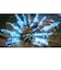 コーエーテクモゲームス　PS5ゲームソフト FAIRY TAIL2 ﾌｪｱﾘｰﾃｲﾙ2<br>★こちらの商品は人気商品のため、色違い・仕様違い等含め「一家族１台限り」でのご協力をお願いしております。