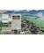 コーエーテクモゲームス　Switch2ゲームソフト 信長の野望・新生 with パワーアップキット Complete Edition ﾉﾌﾞﾅｶﾞｼﾝｾｲWPKCE