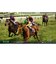 コーエーテクモゲームス　Switchゲームソフト Winning Post 10 2026 WP102026<br>★こちらの商品は人気商品のため、色違い・仕様違い等含め「一家族１台限り」でのご協力をお願いしております。