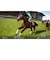 コーエーテクモゲームス　Switchゲームソフト Winning Post 10 2026 WP102026<br>★こちらの商品は人気商品のため、色違い・仕様違い等含め「一家族１台限り」でのご協力をお願いしております。