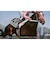 コーエーテクモゲームス　Switchゲームソフト Winning Post 10 2026 WP102026<br>★こちらの商品は人気商品のため、色違い・仕様違い等含め「一家族１台限り」でのご協力をお願いしております。