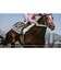 コーエーテクモゲームス　Switchゲームソフト Winning Post 10 2026 WP102026<br>★こちらの商品は人気商品のため、色違い・仕様違い等含め「一家族１台限り」でのご協力をお願いしております。