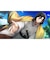 アイディアファクトリー　Switchゲームソフト BYAKKO ～四神部隊炎恋記～ ﾋﾞｬｯｺｼｼﾞﾝﾌﾞﾀｲｴﾝﾚﾝｷ<br>★こちらの商品は人気商品のため、色違い・仕様違い等含め「一家族１台限り」でのご協力をお願いしております。
