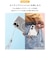 HAMEE　iPhone 16e iFace Look in Clear Hybrid MagSynqケース iFace クリア IP16EIFACELOOKMG