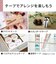 カシオ　ラベルライター NAME LAND(ネームランド) ホワイト KLP50WE