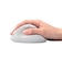 エレコム　Bluetooth マウス 無線 静音 抗菌 5ボタン Sサイズ Windows Mac iPad 等対応 医師監修 EX-G ホワイト MXGS30BBSKCWH