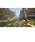 マイクロソフト　PS5ゲームソフト The Elder Scrolls IV： Oblivion Remastered - Deluxe Edition ｵﾌﾞﾘﾋﾞｵﾝﾘﾏｽﾀｰﾄﾞDE<br>★こちらの商品は人気商品のため、色違い・仕様違い等含め「一家族１台限り」でのご協力をお願いしております。