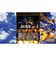 モス　Switchゲームソフト RAIDEN FIGHTERS REMIX COLLECTION ﾗｲﾃﾞﾝﾌｧｲﾀｰｽﾞRC<br>★こちらの商品は人気商品のため、色違い・仕様違い等含め「一家族１台限り」でのご協力をお願いしております。