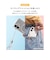 HAMEE　iPhone17 iFace Look in Clear Hybrid MagSynqケース クリア IP17IFACELOOKMGCR