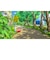 ネオス　Switchゲームソフト クレヨンしんちゃん『オラと博士の夏休み』～おわらない七日間の旅～ 0<br>★こちらの商品は人気商品のため、色違い・仕様違い等含め「一家族１台限り」でのご協力をお願いしております。