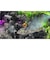マスティフ　Switchゲームソフト エルドラドRクリーチャーズ・シャドウフォール HAC-P-BJFTD<br>★こちらの商品は人気商品のため、色違い・仕様違い等含め「一家族１台限り」でのご協力をお願いしております。